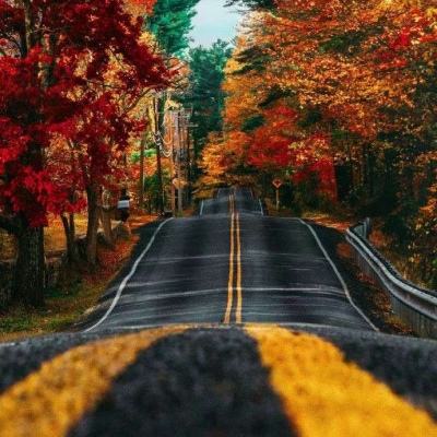 hth华体育(中国)官方入口截图