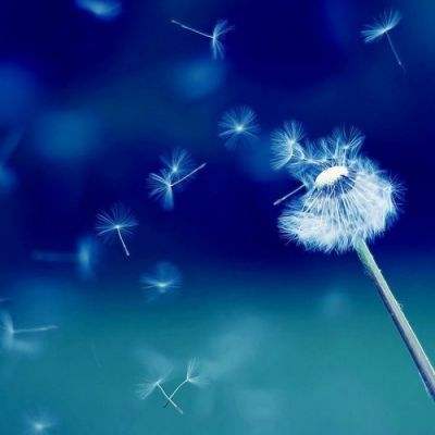 小罗代言米乐体育app