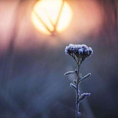 NG南宫28官网登录