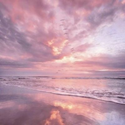 博鱼·体育下载入口