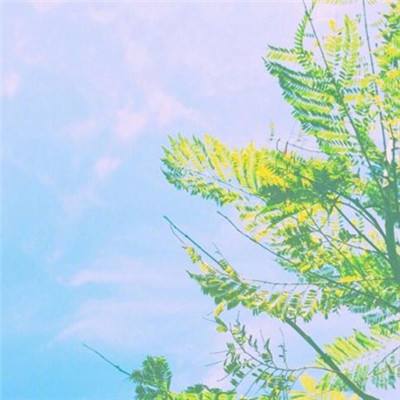 hth华体育(中国)官方入口