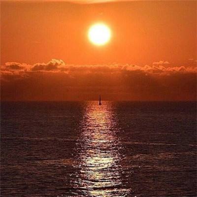 彩神手机app下载截图