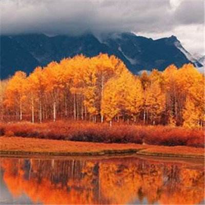 威斯尼斯wns888入口