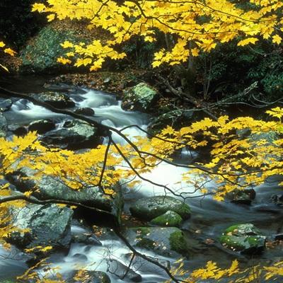 万博manbetx客户端