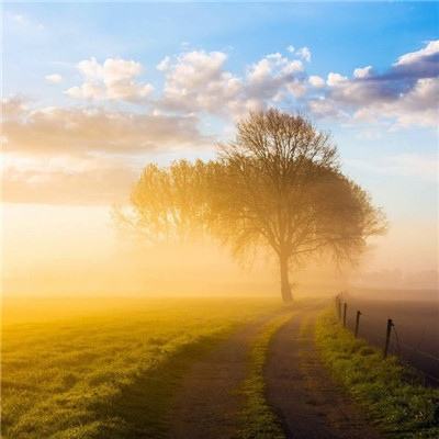 亚新下载手机版